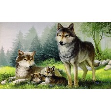 r732 Печатный гобелен