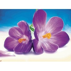 B1121 Kлючница