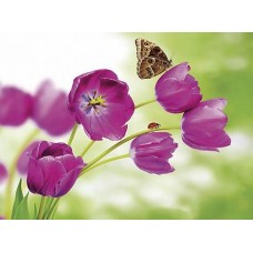 B1129 Kлючница