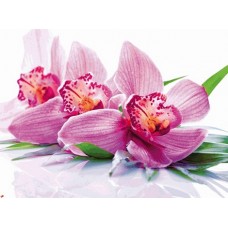 B1153 Kлючница