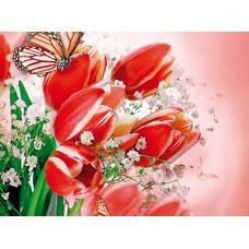 B1711 Kлючница