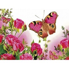 B1713 Kлючница