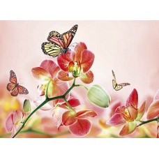 B1714 Kлючница