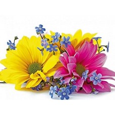 B1718 Kлючница