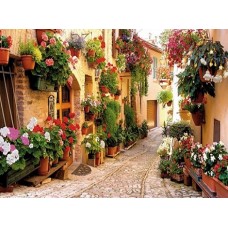 B1725 Kлючница