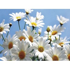 B852 Kлючница