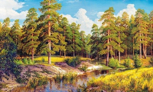 r581 Печатный гобелен