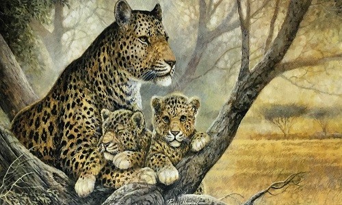 r610 Печатный гобелен