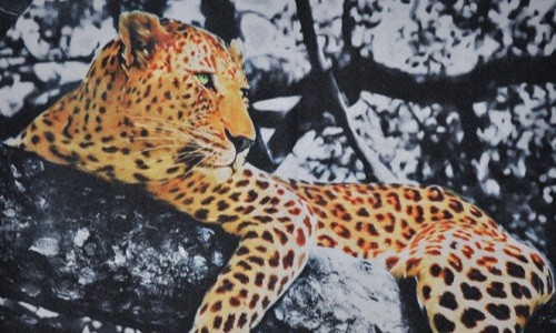 r611 Печатный гобелен