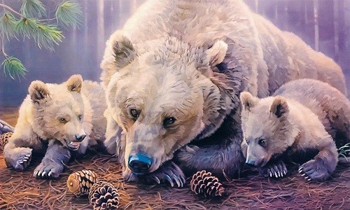 r626 Печатный гобелен