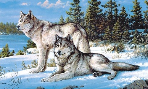 r630 Печатный гобелен