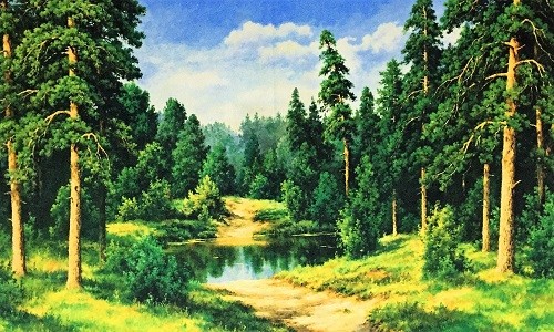 r640 Печатный гобелен