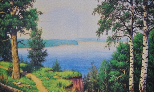 r649 Печатный гобелен