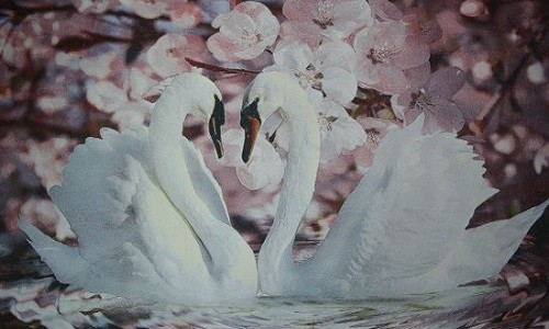 r734 Печатный гобелен