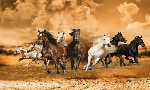 r938 Печатный гобелен