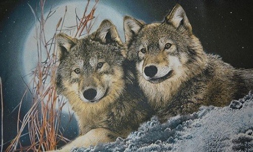 r674 Печатный гобелен