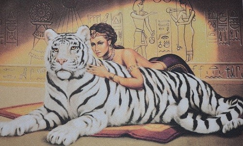 r723 Печатный гобелен