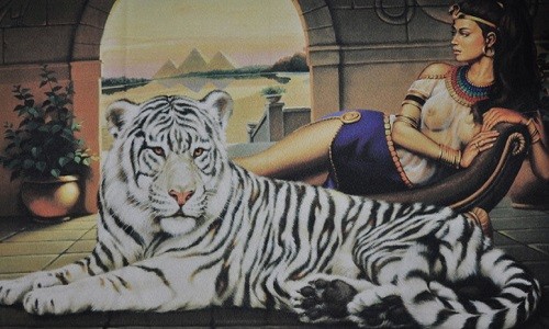 r724 Печатный гобелен