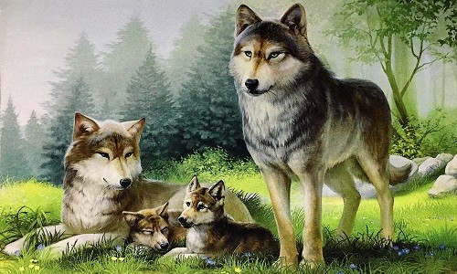 r732 Печатный гобелен