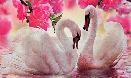 r736 Печатный гобелен