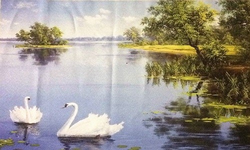 r750 Печатный гобелен