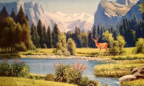 r753 Печатный гобелен