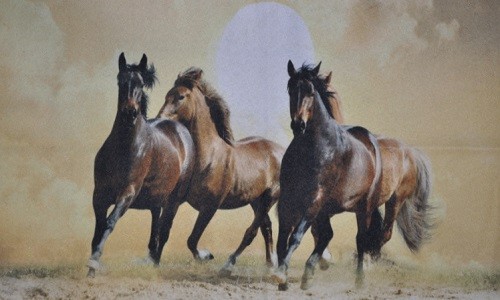 r883 Печатный гобелен