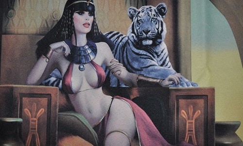 r906 Печатный гобелен