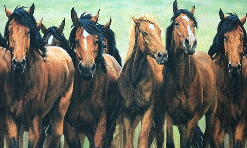 r1007 Печатный гобелен