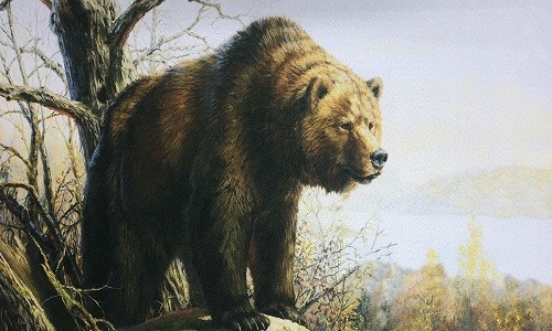 r1008 Печатный гобелен