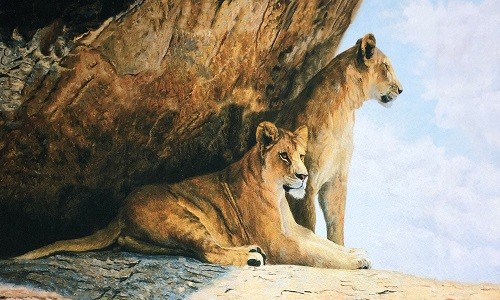 r1010 Печатный гобелен