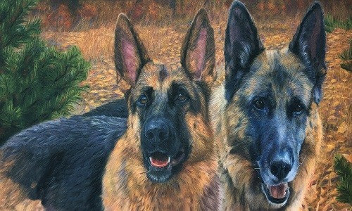 r1013 Печатный гобелен