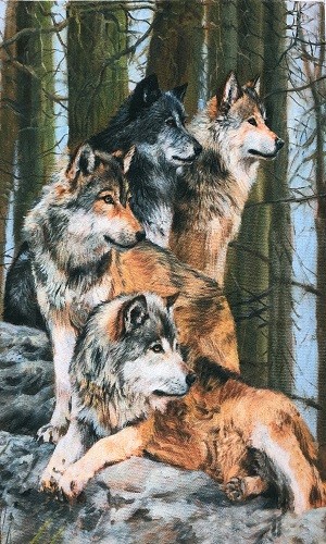 r1016 Печатный гобелен