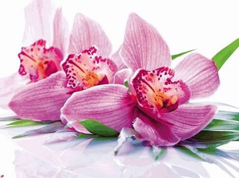 B1153 Kлючница