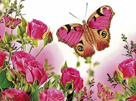 B1713 Kлючница