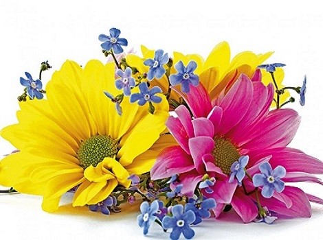 B1718 Kлючница