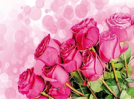 B1738 Kлючница