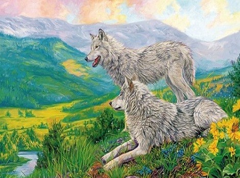 B2473 Kлючница