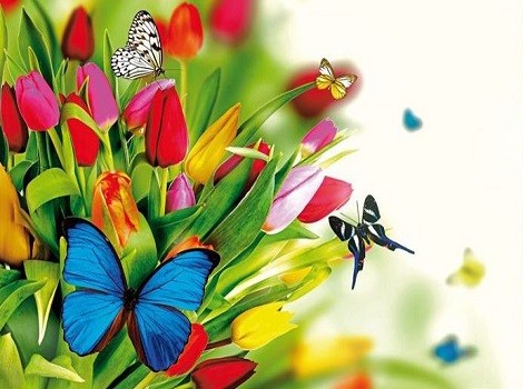 B1733 Ключница