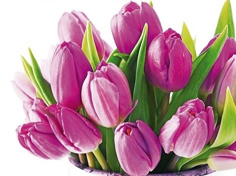 B2435 Ключница