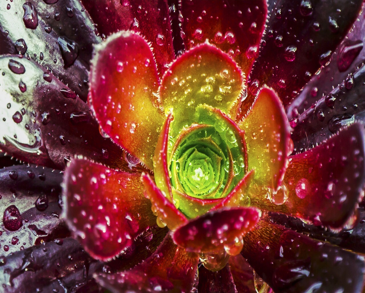 kl11 Ключница