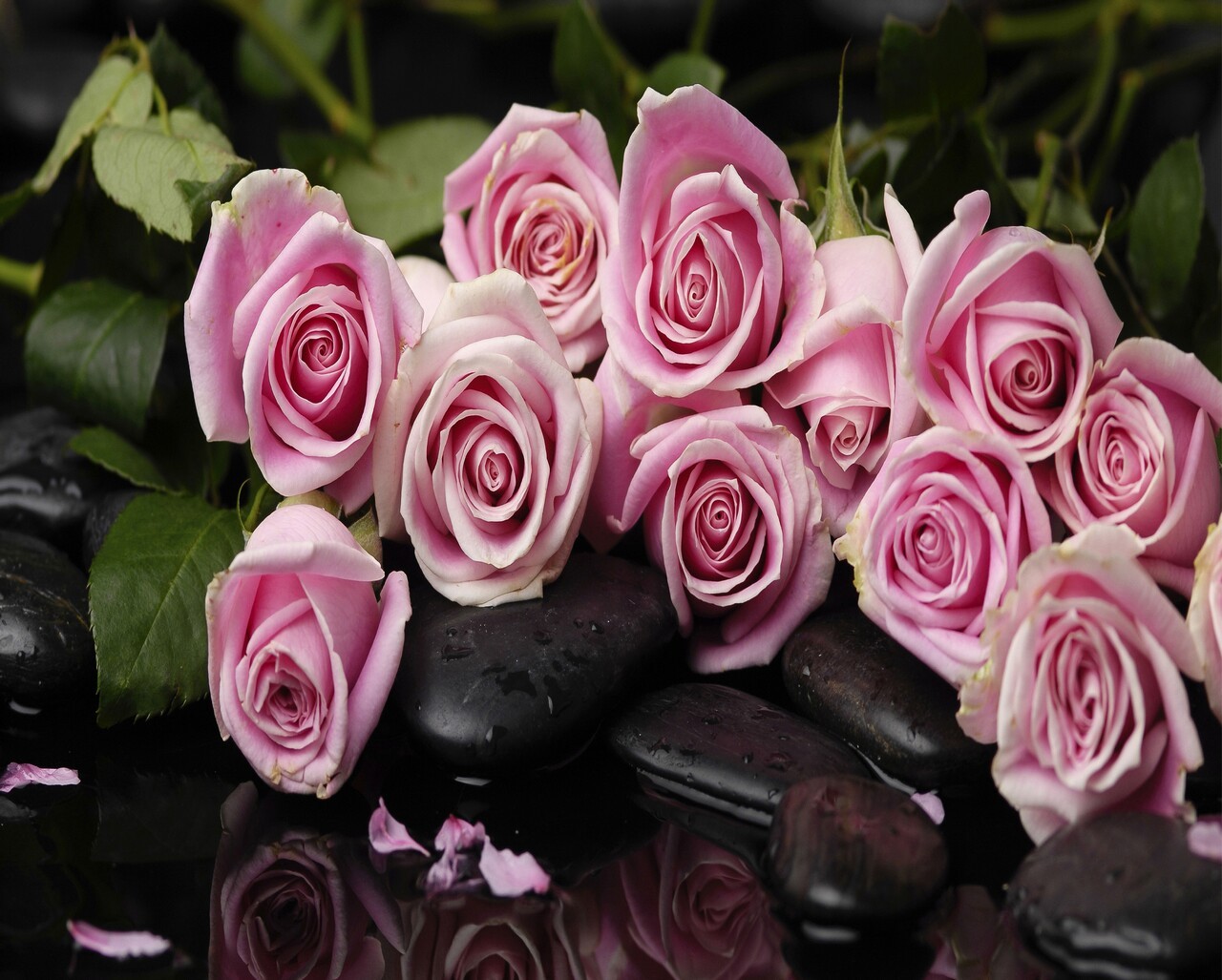 kl9 Ключница